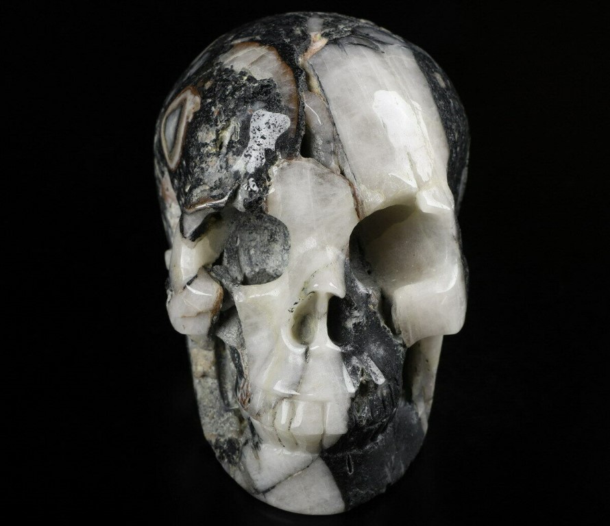 Black Quartz Tourmalated Quartz Skull 5416